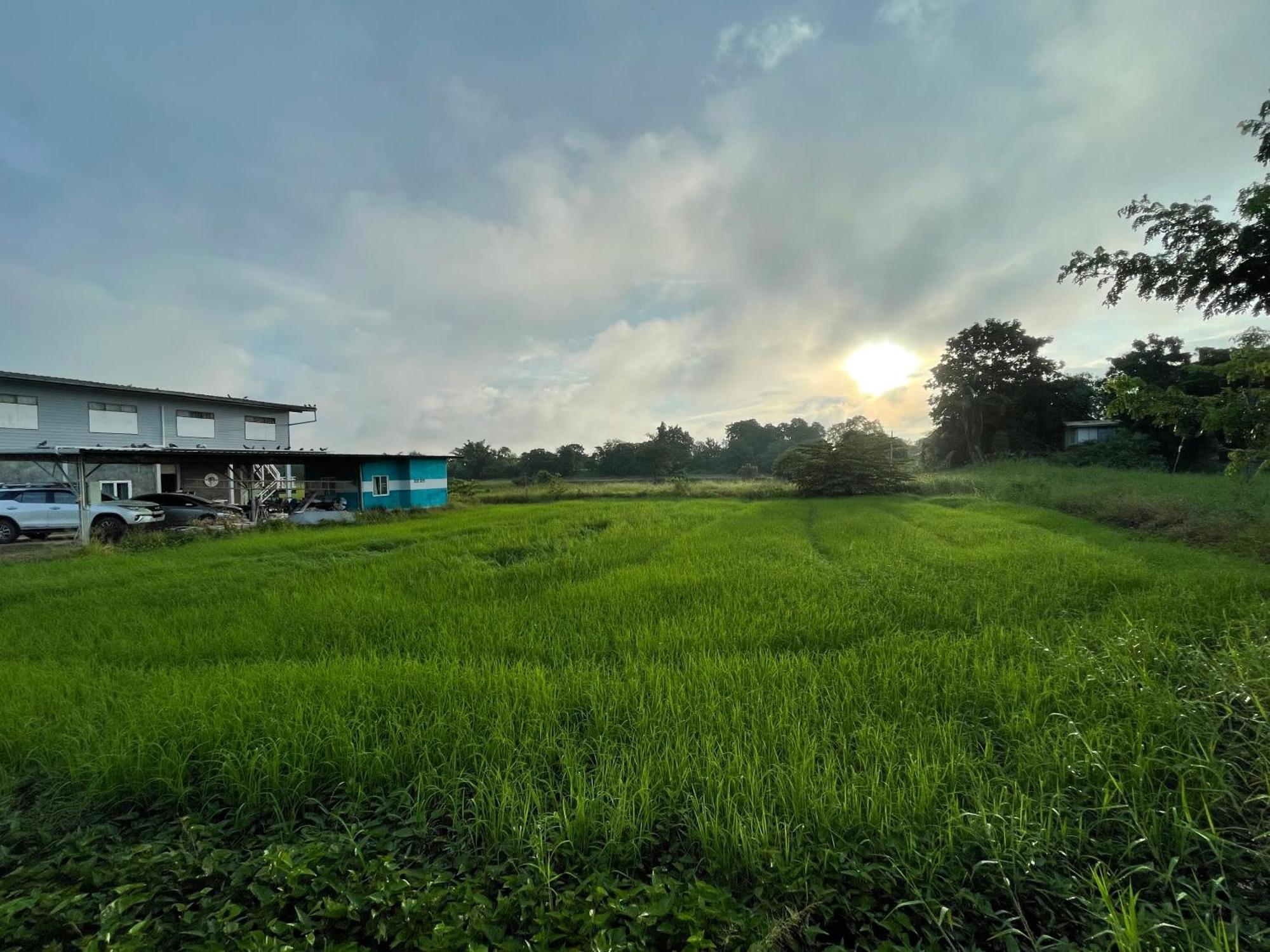 Srihome ยายศรีโฮมแอนแคมป์ปิ้ง Ban Don Tum Exteriör bild